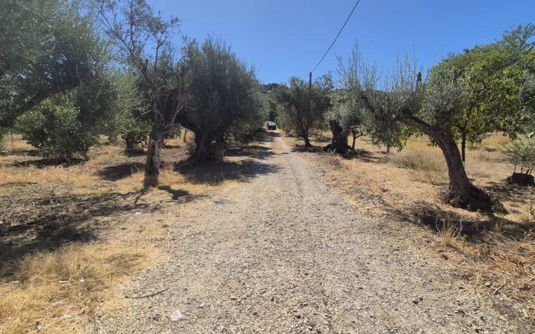 εικόνα_Viber_2025-09-19_14-27-48-916