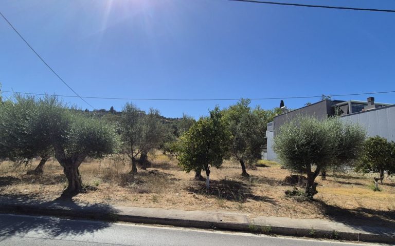 εικόνα_Viber_2025-09-19_14-27-48-934