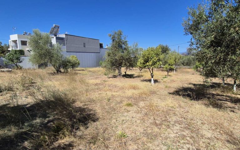 εικόνα_Viber_2025-09-19_14-27-49-086