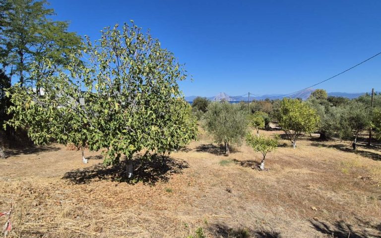 εικόνα_Viber_2025-09-19_14-27-49-129