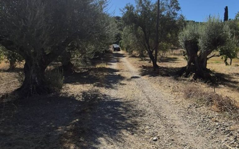 εικόνα_Viber_2025-09-22_22-12-10-962